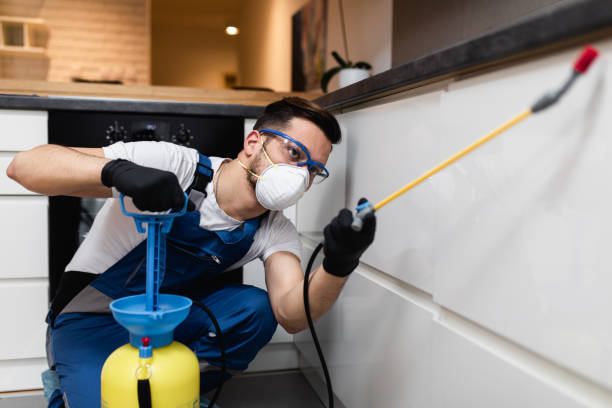 Best Flea Control Services  in Oberlin, LA