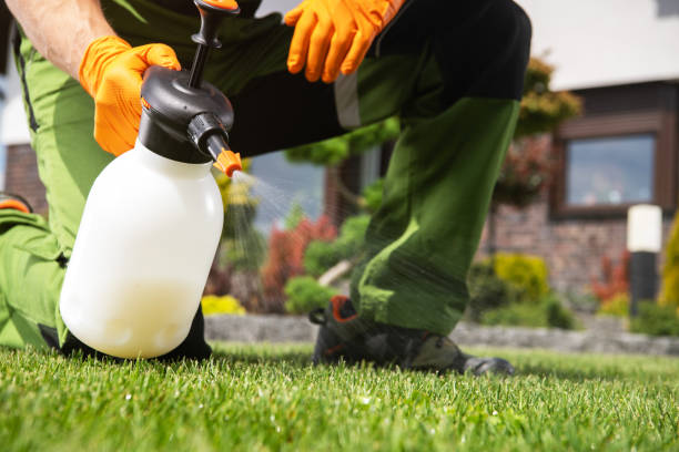 Best Wildlife Control Services  in Oberlin, LA