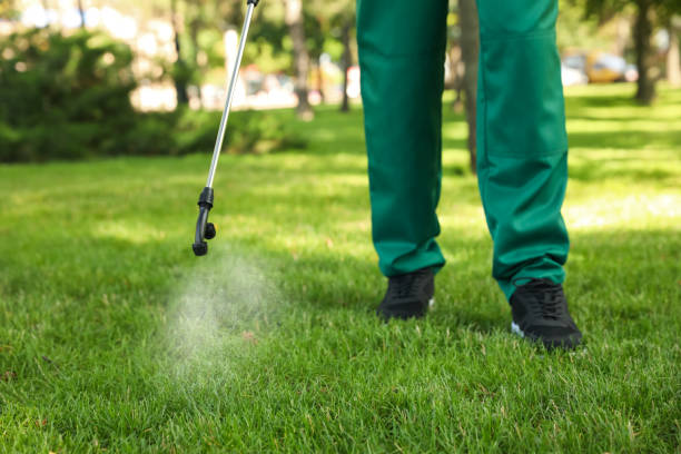 Best Local Pest Control Services  in Oberlin, LA