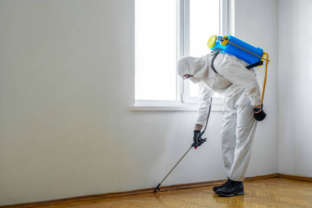 Best Termite Control Services  in Oberlin, LA