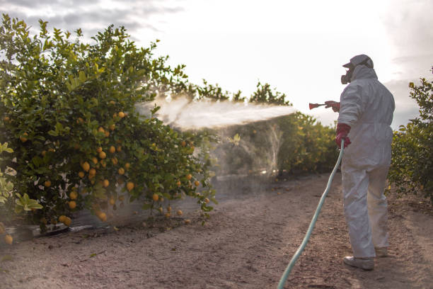 Reliable Oberlin, LA Pest Control Solutions