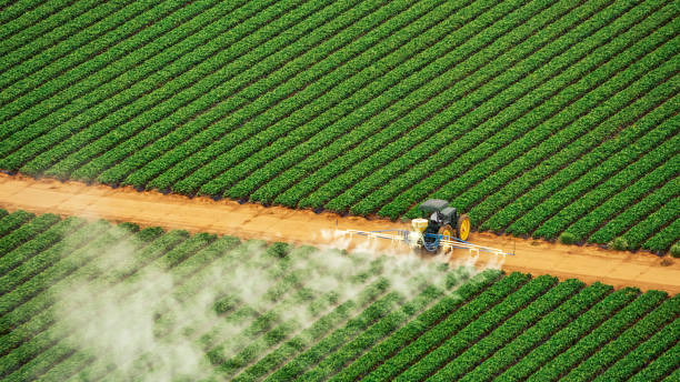 Best Commercial Pest Control Services  in Oberlin, LA
