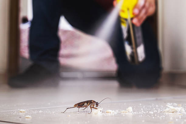 Best Pest Inspection Near Me  in Oberlin, LA